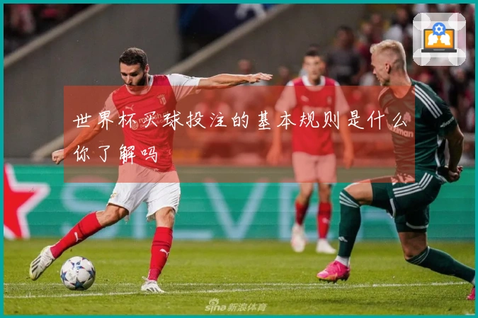 世界杯买球投注的基本规则是什么你了解吗