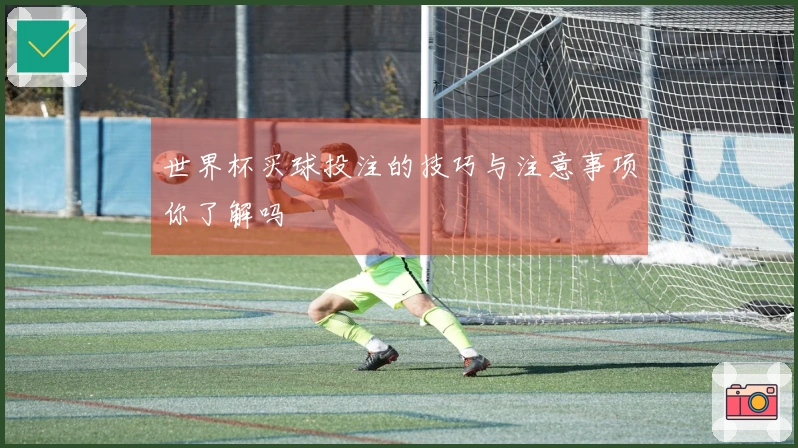 世界杯买球投注的技巧与注意事项你了解吗