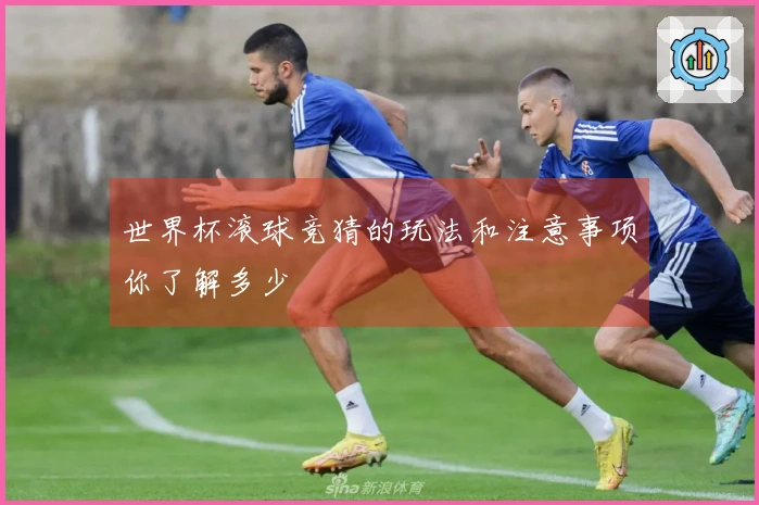 世界杯滚球竞猜的玩法和注意事项你了解多少