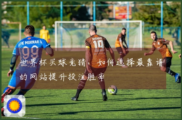 世界杯买球竞猜，如何选择最靠谱的网站提升投注胜率