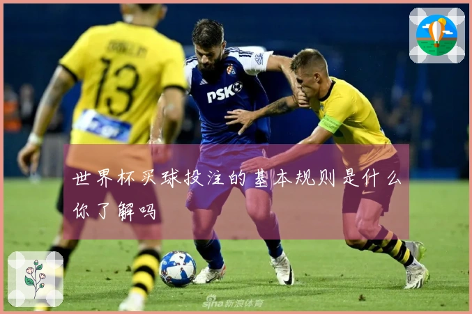 世界杯买球投注的基本规则是什么你了解吗