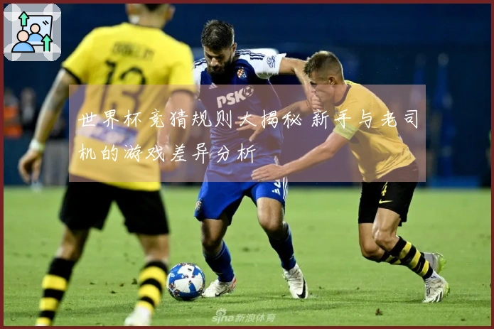 世界杯竞猜规则大揭秘 新手与老司机的游戏差异分析