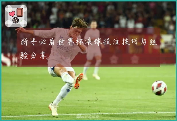 新手必看世界杯滚球投注技巧与经验分享