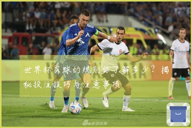 世界杯买球的规则你了解多少？揭秘投注技巧与注意事项