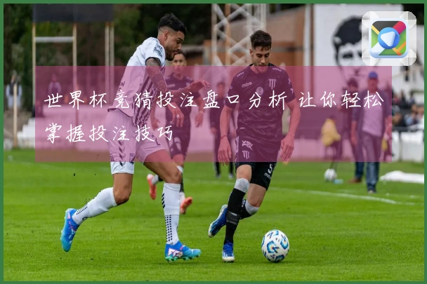 世界杯竞猜投注盘口分析 让你轻松掌握投注技巧