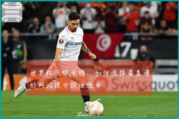 世界杯买球竞猜，如何选择最靠谱的网站提升投注胜率