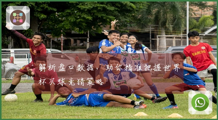 解析盘口数据，助你精准把握世界杯买球竞猜策略
