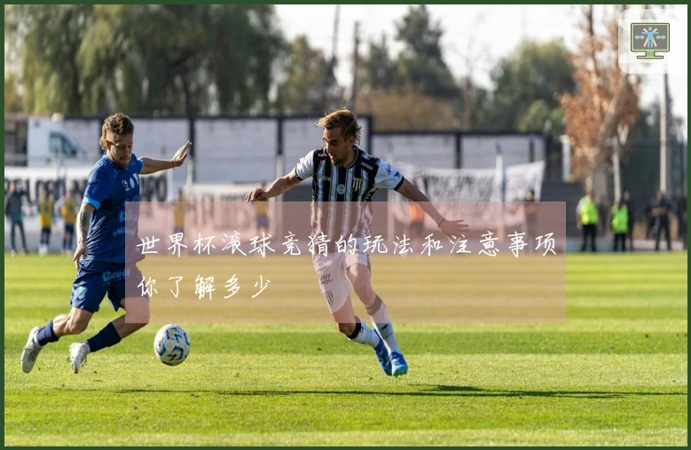 世界杯滚球竞猜的玩法和注意事项你了解多少