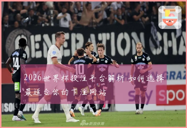2026世界杯投注平台解析 如何选择最适合你的下注网站