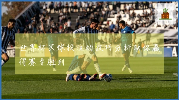 世界杯买球投注的技巧分析助你赢得赛季胜利