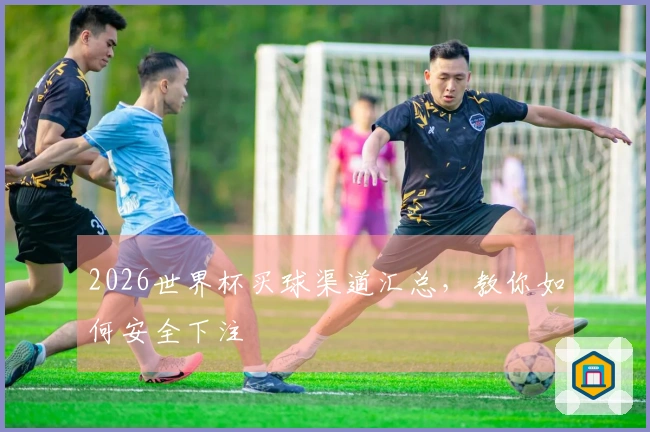 2026世界杯买球渠道汇总，教你如何安全下注